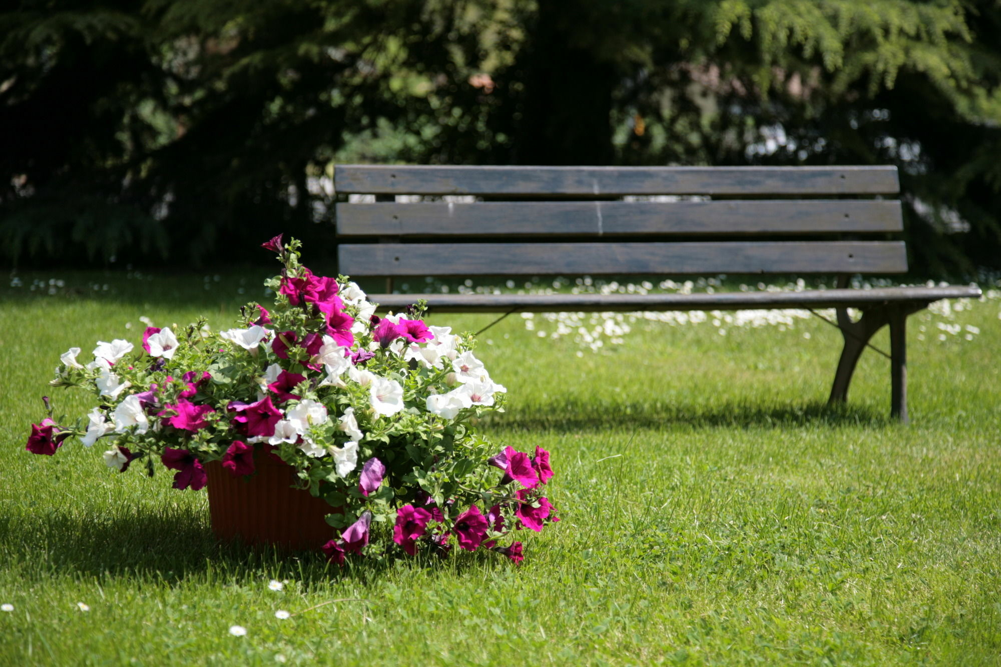 Hotel Bassetto Ферентино Екстериор снимка